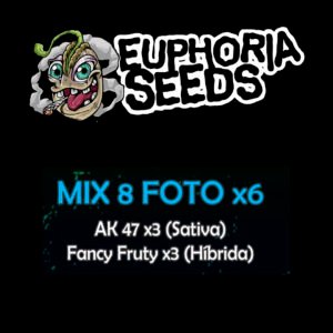 EUPHORIA SEEDS - MIX FEM 8 X6 - AK-47 + FANCY FRUTY