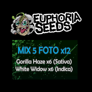 EUPHORIA SEEDS - MIX FEM 5 X12 - GORILLA HAZE + WHITE WIDOW