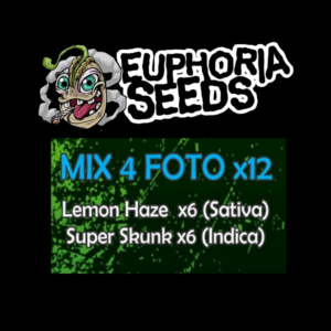 EUPHORIA SEEDS - MIX FEM 4 X12 - LEMON HAZE + SUPER SKUNK