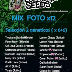 EUPHORIA SEEDS - MIX FEM X12 - SELECCION 2 GENETICAS