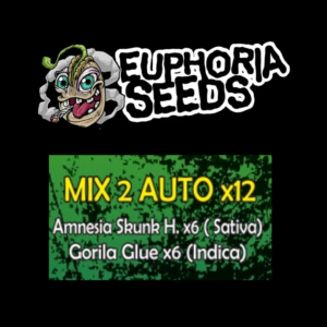EUPHORIA SEEDS - MIX AUTO 2 X12 - AMNESIA SKUNK HAZE + GORILLA GLUE
