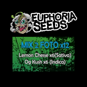 EUPHORIA SEEDS - MIX FEM 2 X12 - LEMON CHEESE + OG KUSH
