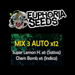 EUPHORIA SEEDS - MIX AUTO 3 X12 - SUPER LEMON HAZE + CHEM BOMB
