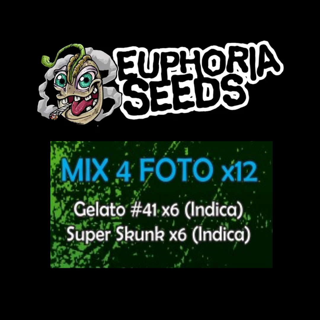 EUPHORIA SEEDS - MIX FEM 4 X12 - GELATO #41 + SUPER SKUNK