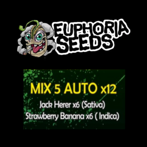 EUPHORIA SEEDS - MIX AUTO 5 X12 - JACK HERER + STRAWBERRY BANANA