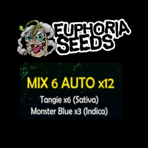 EUPHORIA SEEDS - MIX AUTO 6 X12 - XXL TANGIE + MONSTER BLUE