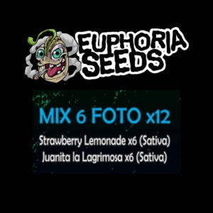 EUPHORIA SEEDS - MIX FEM 6 X12 - STRAWBERRY LEMONADE + JUANITA LA LAGRIMOSA