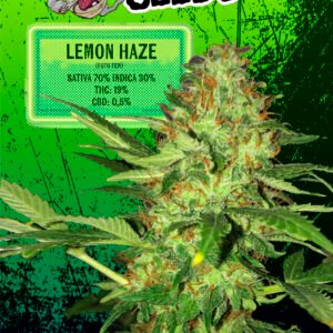 EUPHORIA SEEDS - FEM - LEMON HAZE X3