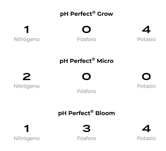 Kit ADVANCED Tripack 500ml - Imagen 3