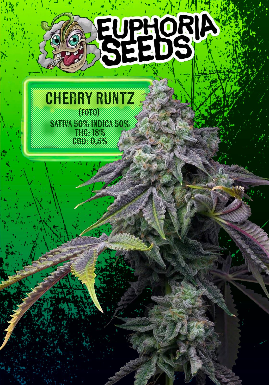 EUPHORIA SEEDS - FEM - CHERRY RUNTZ X12